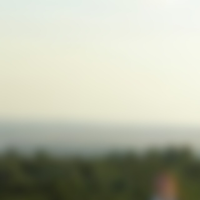 Wollgraswiese (48) aus Berlin