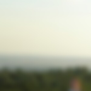 Wollgraswiese (48) aus Berlin