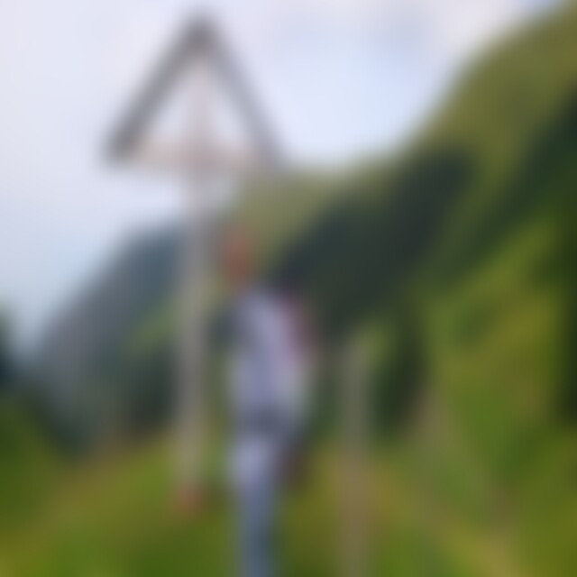 Schmetterling2014 (53) aus A