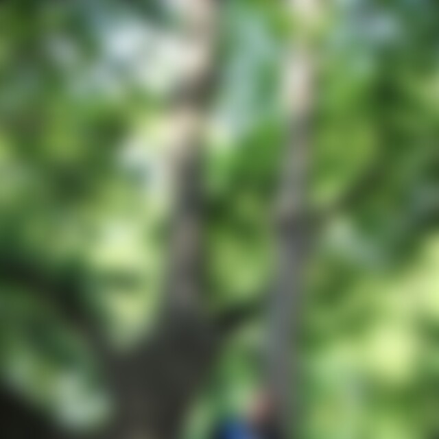 JonnyN (39) aus Heuchelheim