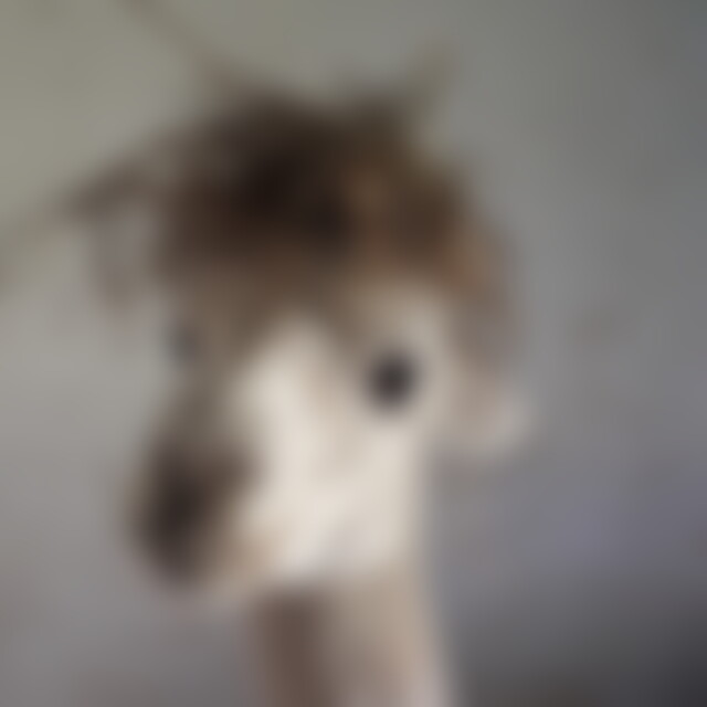 Matthias88 (37) aus Pöhl