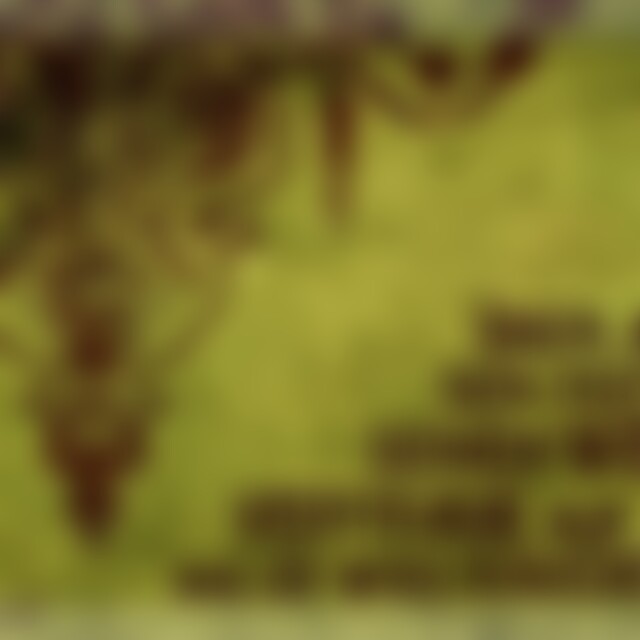 Newlife80 (45) aus Altenkirchen