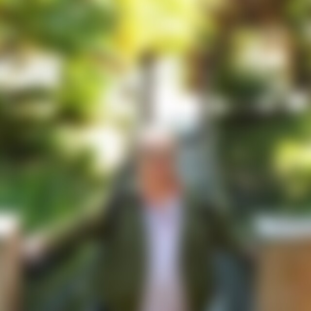 Juergen54 (66) aus Hamburg