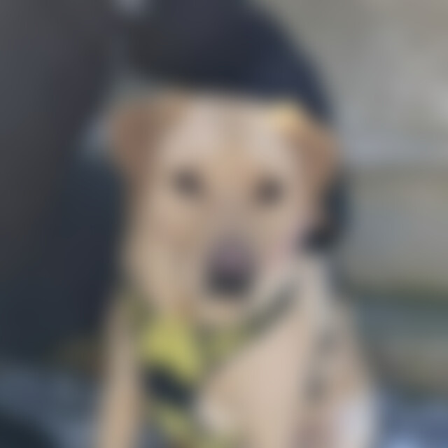 faithfulman (37) aus Frankfurt