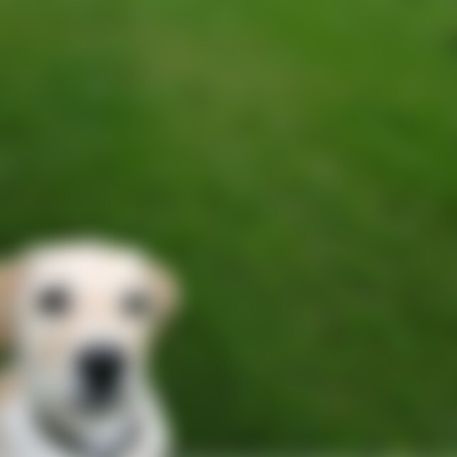 frank1963 (62) aus Ruhrgebiet