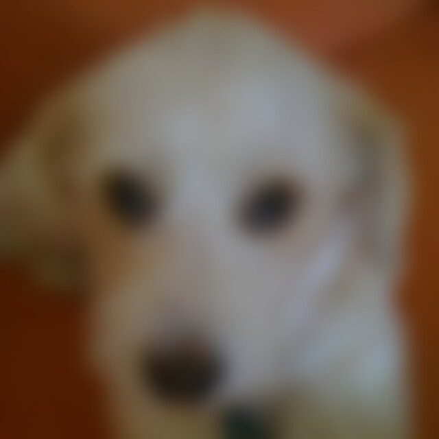 emina (71) aus Waibstadt