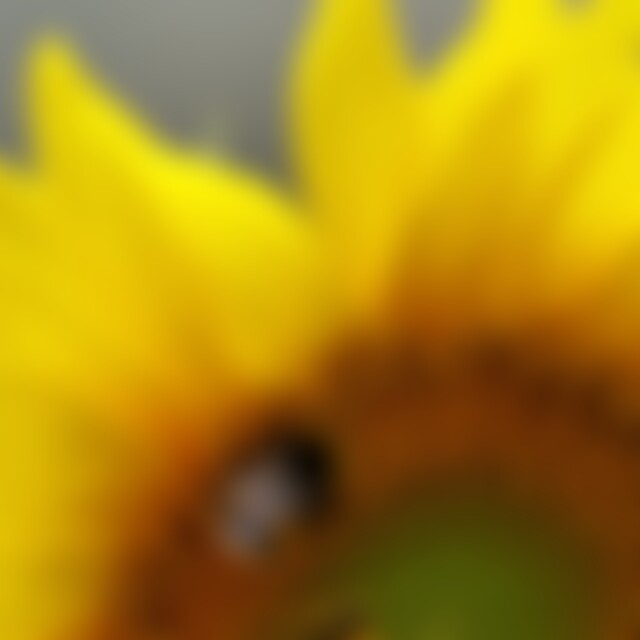 Bully888 (67) aus Halle