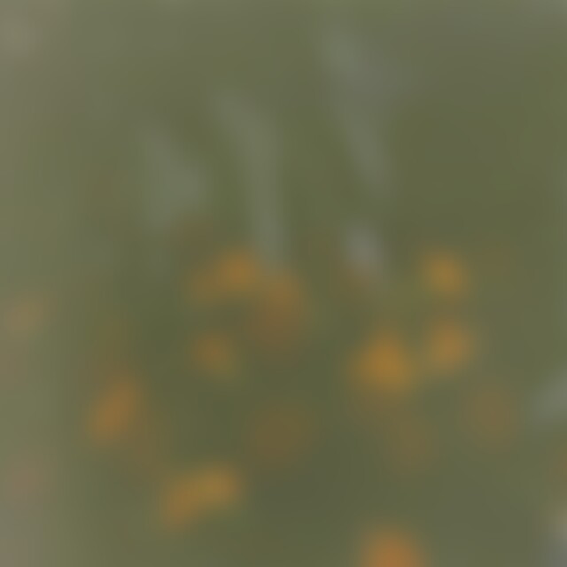 mitreden (68) aus Grünstadt