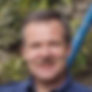 Trachycarpus (60) aus Dresden