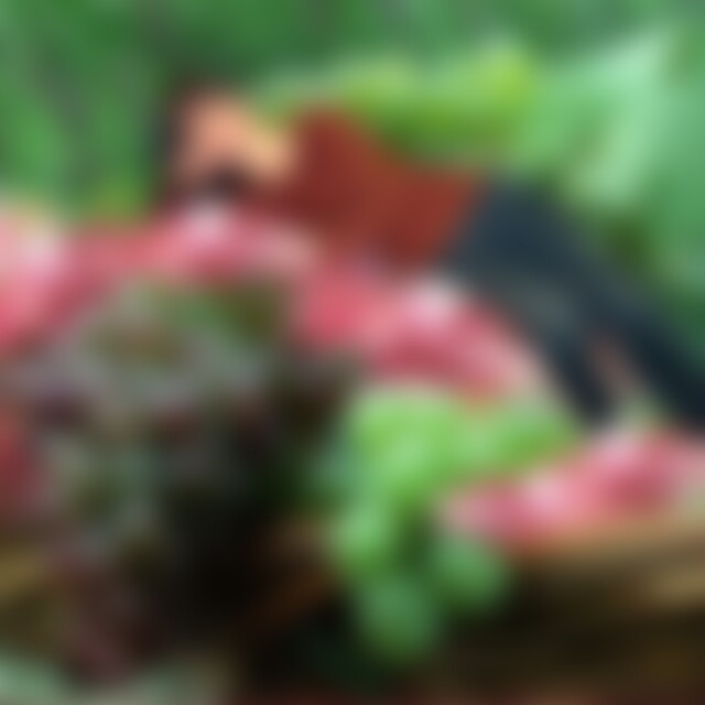 faithful (52) aus OWL in NRW