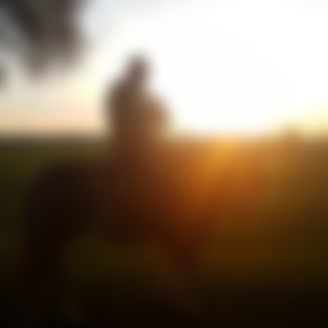 acesto (59) aus Hannover