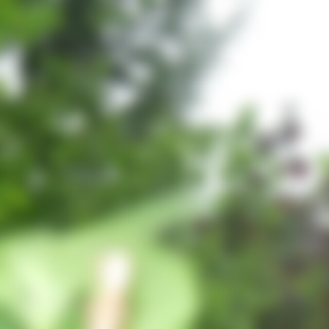 Aredhel (41) aus Sempach