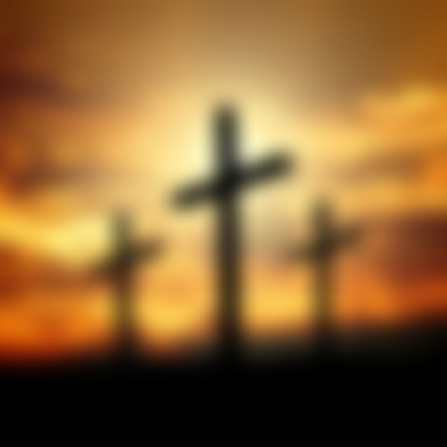 heideroeslein1 (79) aus Berlin