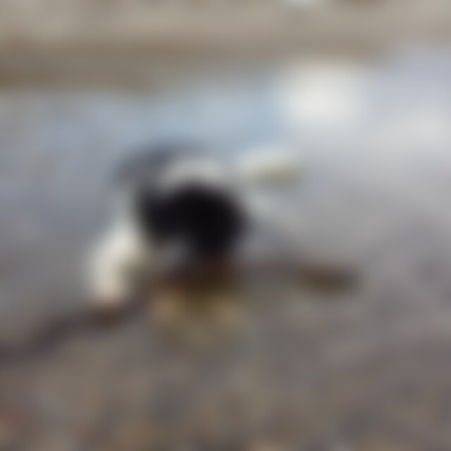 Liesa21 (30) aus Straubing