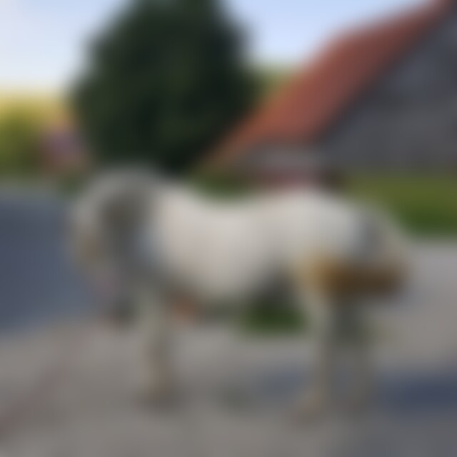 kasio (48) aus Bayreuth