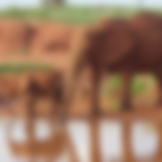 tippi68 (57) aus NRW