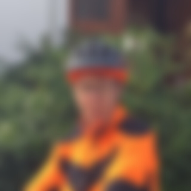 stihl (55) aus ???
