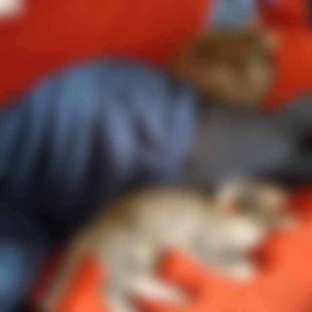 Nasashi (42) aus Loxstedt