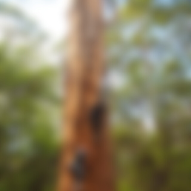 W57 (66) aus Hamburg