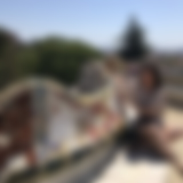 wantedprinceonturtle (37) aus -