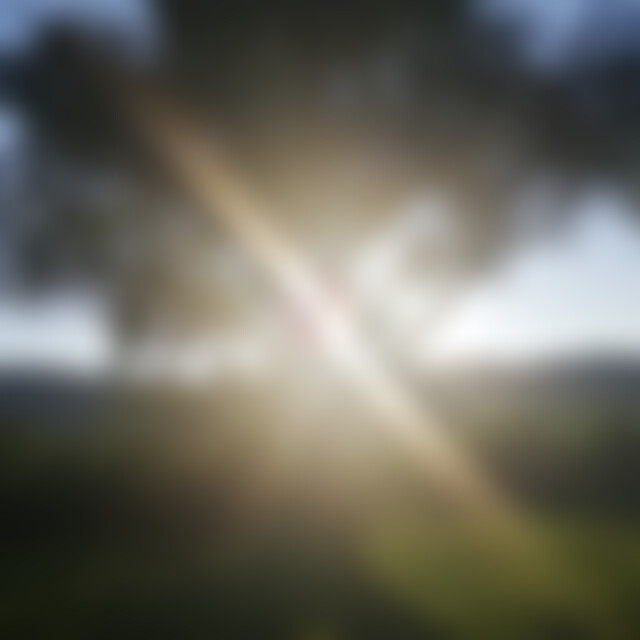Meeresblume (41) aus 