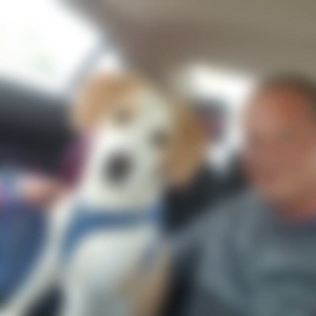 PeterChris (40) aus Brühl