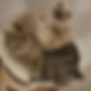 Anja1 (40) aus Berlin