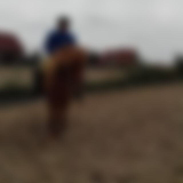 Merlin (75) aus Niebüll bei Sylt