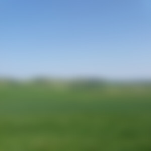 Dan88 (38) aus 