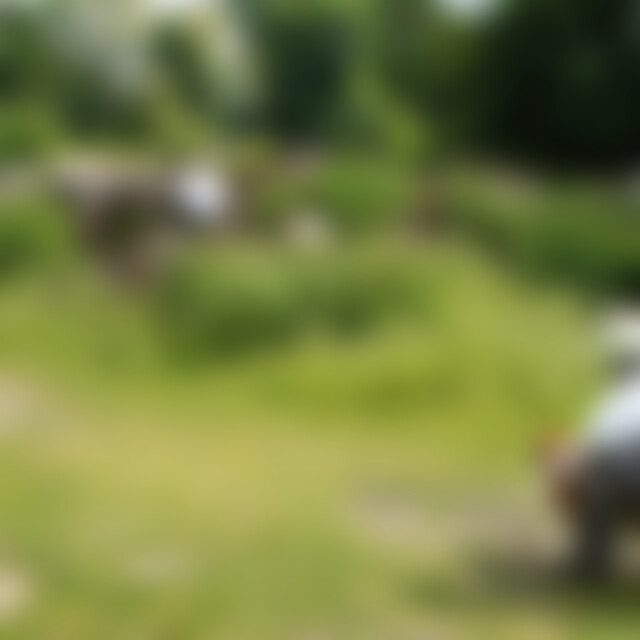 Ninna (50) aus Schallstadt