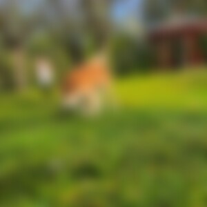MissDalyssa (38) aus A