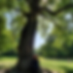 MitHerzundStil (61) aus BN