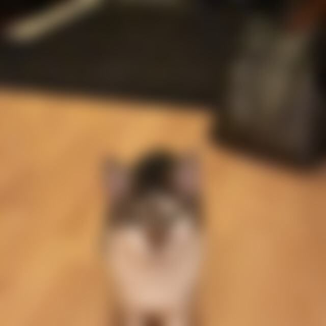 Oliver78 (48) aus Bochum