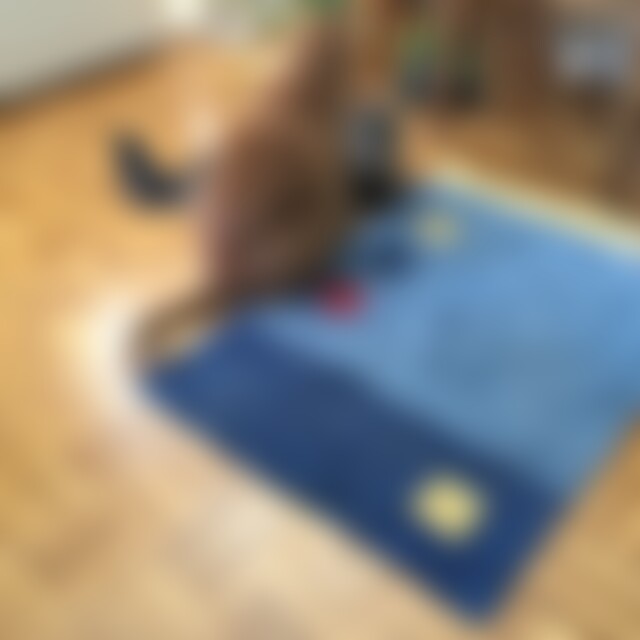 Auslanddeutscher (53) aus Effretikon