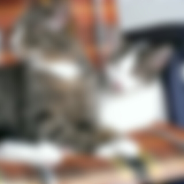 Doc (69) aus Sindelfingen