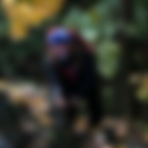 Waldpark (53) aus Dresden