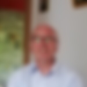 Spinnennetz (72) aus 