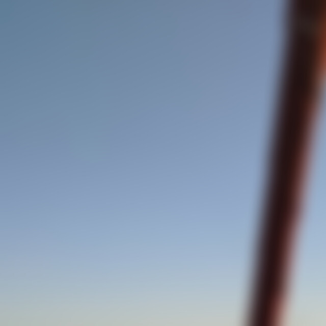 bonafide (36) aus Reinfeld