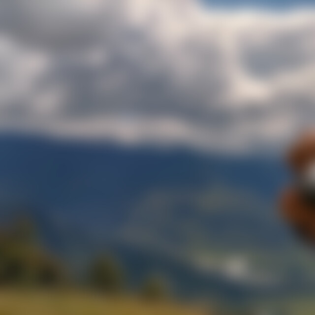 bonafide (36) aus Reinfeld