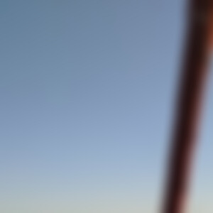 bonafide (36) aus Reinfeld