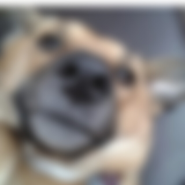 Caro1985 (40) aus Wermelskirchen