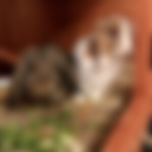 Stephie91 (35) aus xxx