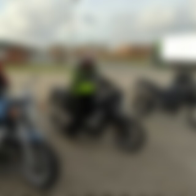 Elefant1 (47) aus Westoverledingen