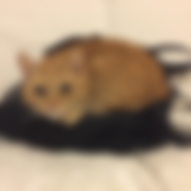 Haesin (55) aus Rhein-Main-Gebiet