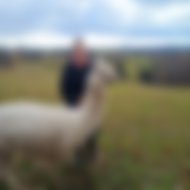 JudithWe (41) aus Wunstorf