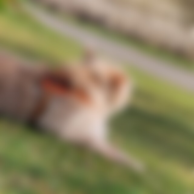 Maranatha (61) aus Trippstadt