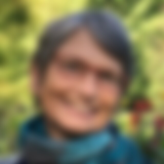 Rosenknospe (70) aus Leer