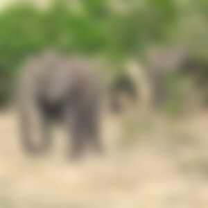 teddybaer40 (57) aus L