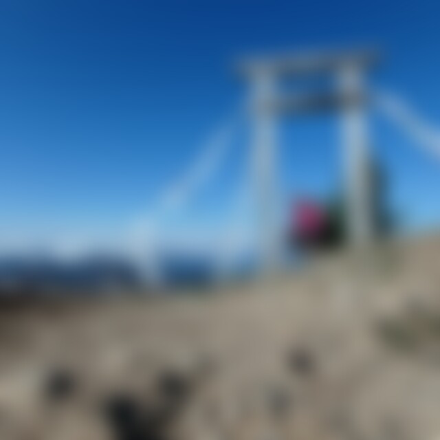 Koromiko (46) aus +++++