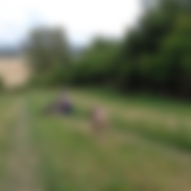 Aries80 (46) aus 